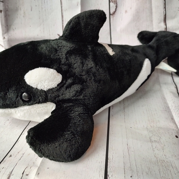 Sea world orca whale killer whale - Picture 2 of 5